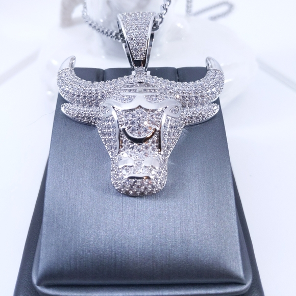 Other - 🧡 Icy Chicago Bull + Cuban Chain